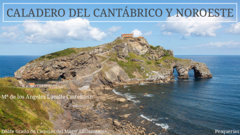 Caladero-del-Cantabrico-y-Noroeste-LACALLE-CASTELLANO.pdf