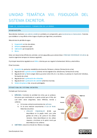 Unidad-tematica-VIII.pdf