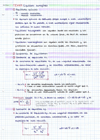 T-7-Equilibrio-homogeneo-resumen.pdf