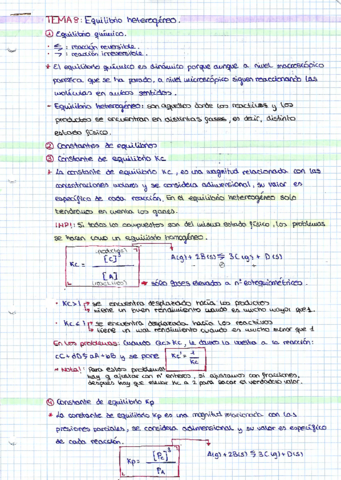 T-8-Equilibrio-heterogeno-resumen.pdf