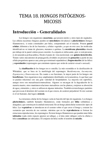TEMA-18.pdf