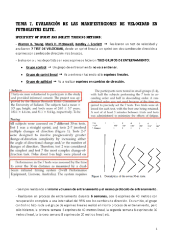 TEMA-7-AIDA-FUTBOL.pdf