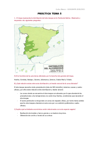PRACTICA-TEMA-5-carlos-blanco.pdf