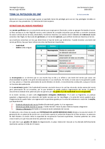 Tema-14-Patologia-del-Sistema-Nervioso-Periferico.pdf