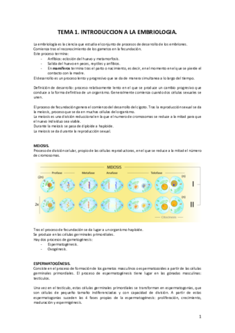 DESARROLLO-COMPLETO.pdf