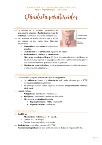 Paratiroides.pdf
