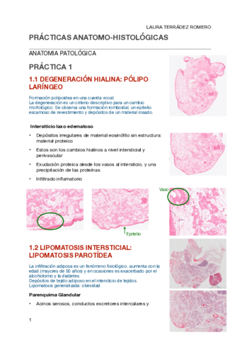 Practicas-MO-anatopato.pdf