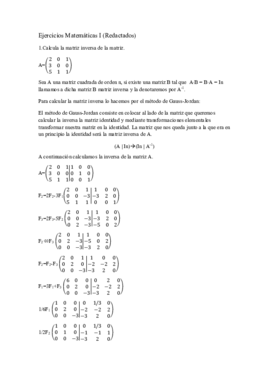 Ejercicios Matemáticas I.pdf