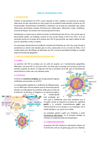 TEMA-25.pdf