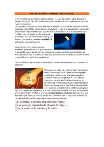 Vídeo tipos articulaciones (T.3).pdf