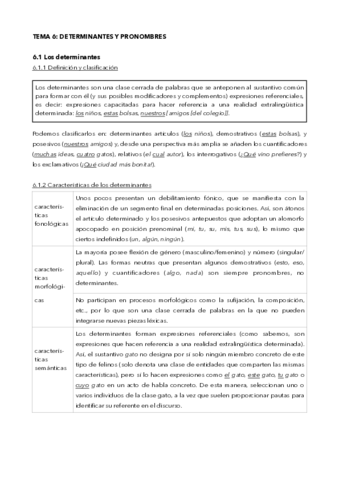 tema-6-pronombres.pdf