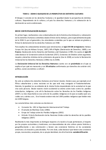 TEMA-2.pdf