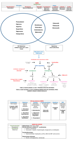 CUADRO-AINES.pdf