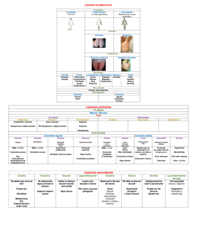 CUADRO-LESIONES-ELEMENTALES.pdf