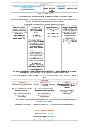 CUADRO-SINTESIS-DE-HORMONAS-TIROIDEAS.pdf