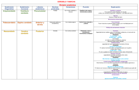 CUADROS-CEREBELO-Y-MARCHA.pdf