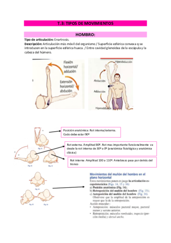 T3. ANÁLISIS-ARTICULAR-TIPOS-MOVIMIENTOS.pdf