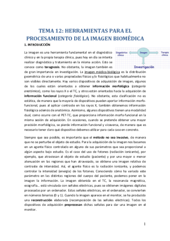 TEMA-12.pdf