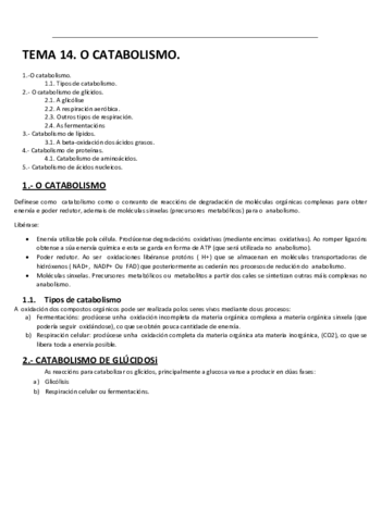 O-CATABOLISMO.pdf