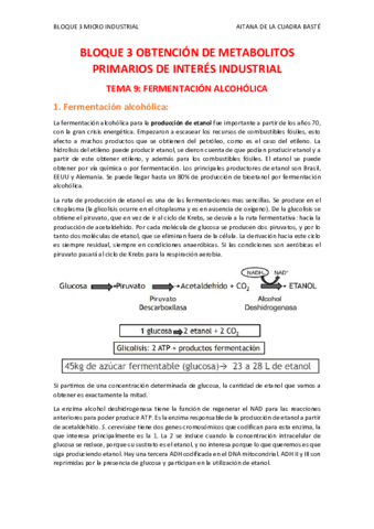 TEMA-9.pdf