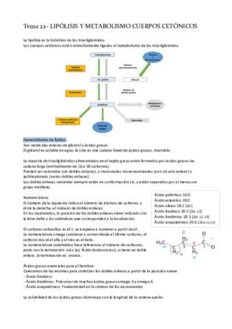 Tema-22-LIPOLISIS-Y-METABOLISMO-DE-CUERPOS-CETONICOS.pdf