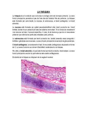 LA-TRAQUEA.pdf