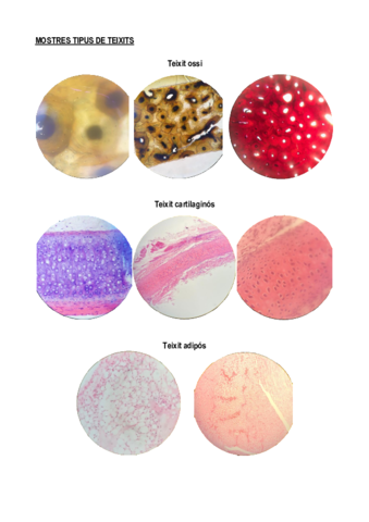 MOSTRES-TIPUS-DE-TEIXIT.pdf