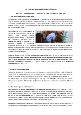 Teoria-practicas-CABALLOS.pdf
