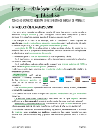 Tema3metabolismopdfdefinitivo.pdf