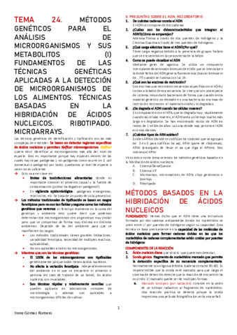 CAL-T24.pdf