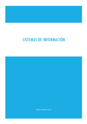 APUNTES-SISTEMA-DE-INFORMACION.pdf