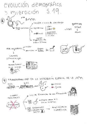 T8-Transformaciones-S.pdf