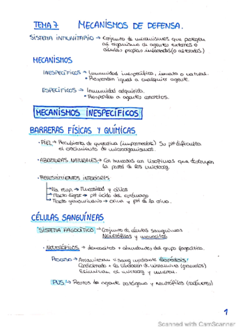 TEMApercent207percent20fisio.pdf