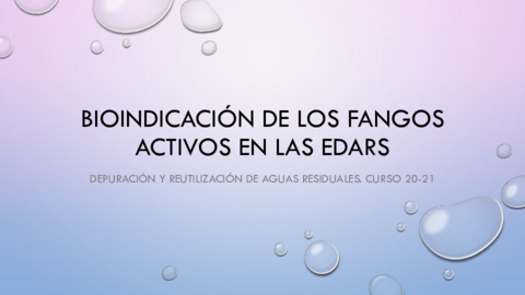 BIOINDICACION-DE-LOS-FANGOS-ACTIVOS-PWP.pdf