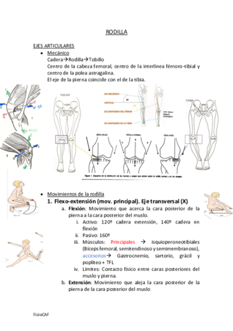 RODILLA.pdf