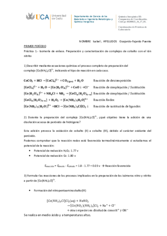 Práctica 1_Isabel Guajardo.pdf