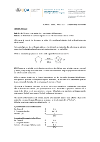 Practica4-5_IsabelGuajardo.pdf