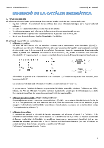 Tema-6-BC.pdf
