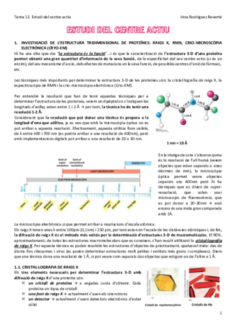 Tema-12-BC.pdf
