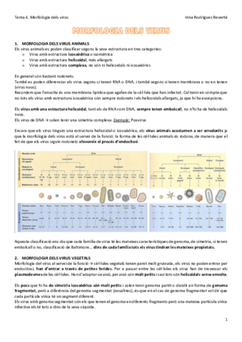 Tema-4-VIR.pdf