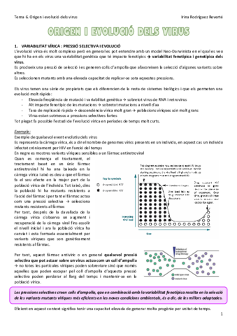 Tema-6-VIR.pdf