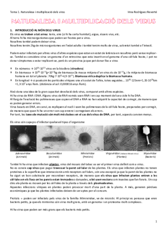 Tema-1-VIR.pdf