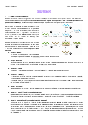 Tema-5-VIR.pdf