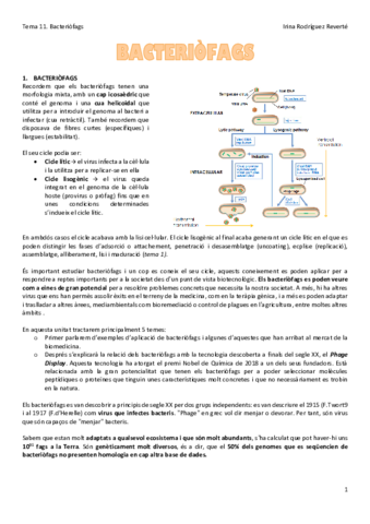 Tema-11-VIR.pdf