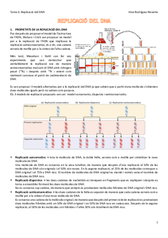 Tema-6-BM.pdf