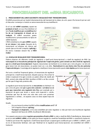 Tema-4-BM.pdf