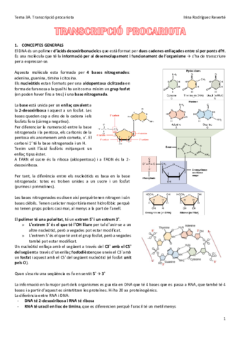Tema-3A-BM.pdf