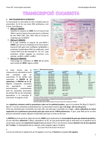 Tema-3B-BM.pdf