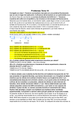 Clase-10.pdf