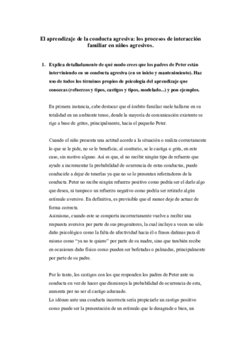Practica-conducta-agresiva.pdf
